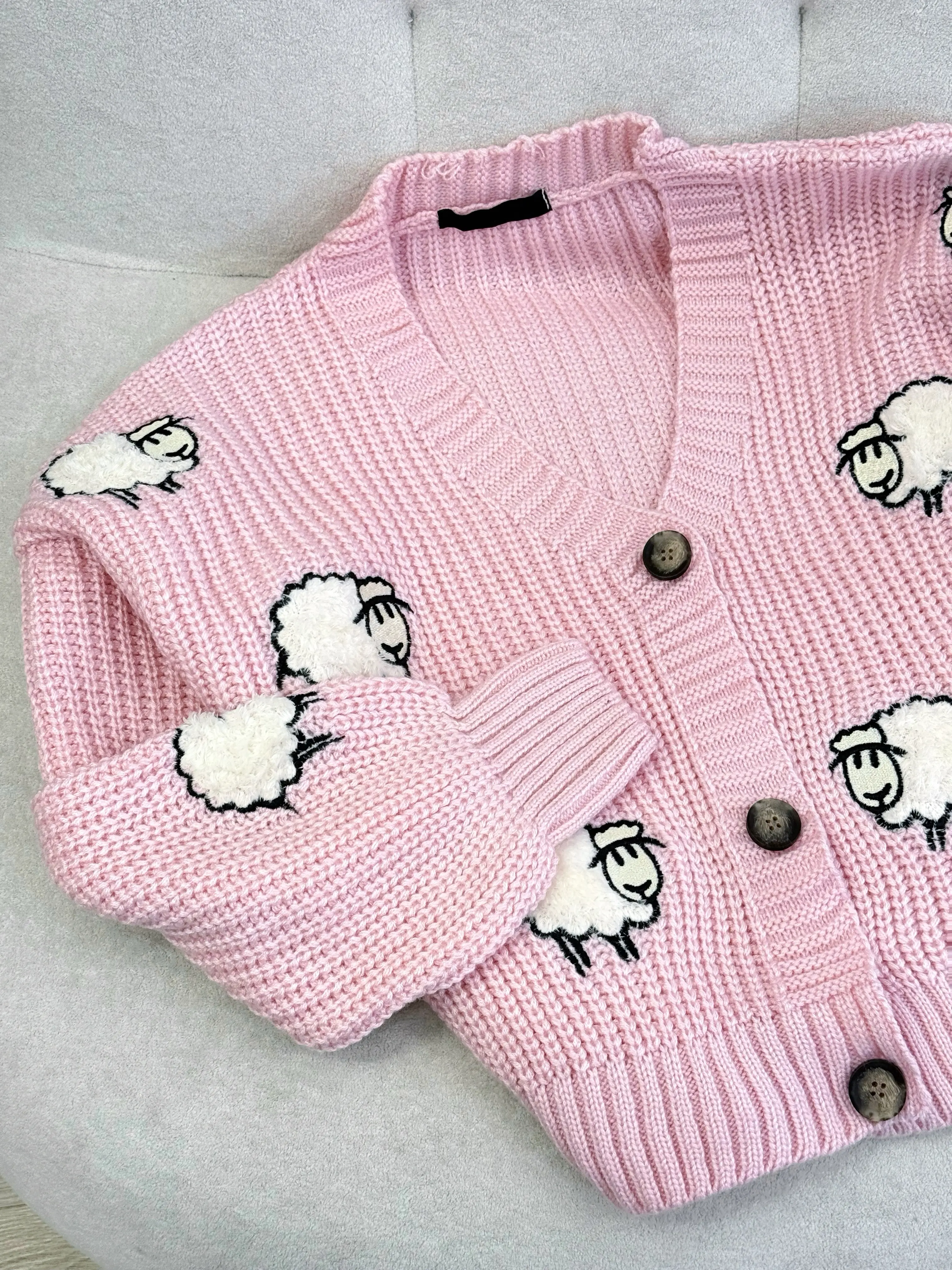 7369-کاردیگن sheep